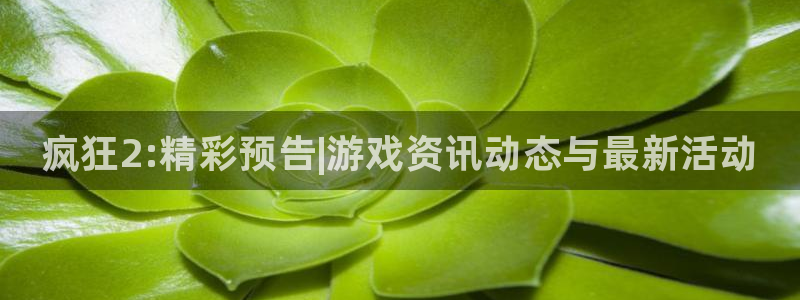 鼎点娱乐网址官网：疯狂2:精彩预告|游戏资讯动态与最新活动