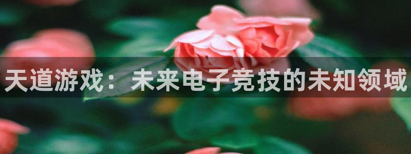 鼎点娱乐平台登录：天道游戏：未来电子竞技的未知领域