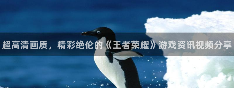 鼎点娱乐官方注册登录：超高清画质，精彩绝伦的《王者荣耀》游戏