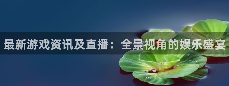 鼎点娱乐直属：最新游戏资讯及直播：全景视角的娱乐盛宴