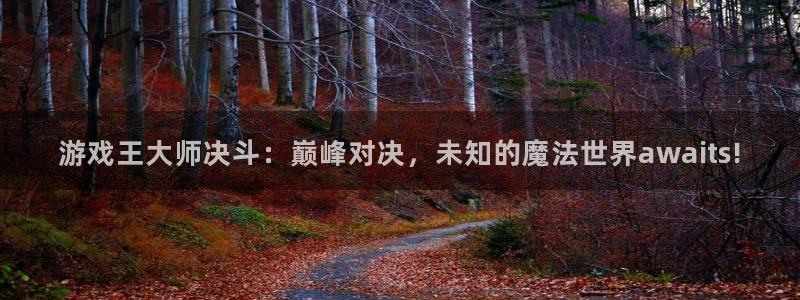 鼎点娱乐平台登录：游戏王大师决斗：巅峰对决，未知的魔法世界a