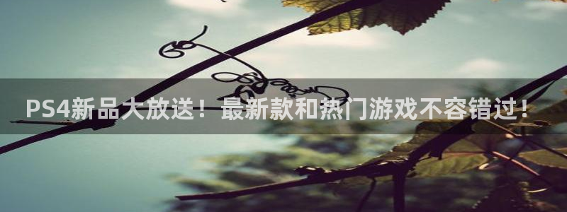 鼎点娱乐平台官方网站：PS4新品大放送！最新款和热门游戏不容