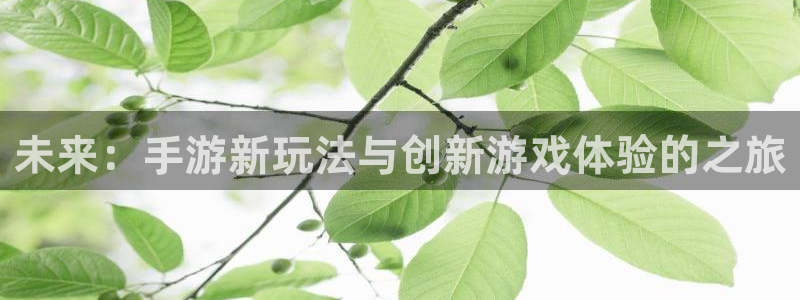 鼎点娱乐手机网页版登录：未来：手游新玩法与创新游戏体验的之旅