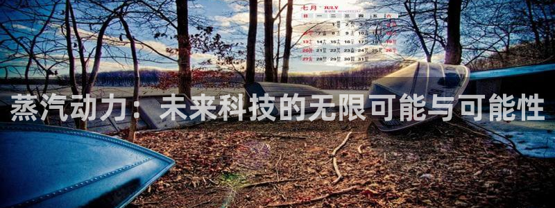鼎点娱乐直属：蒸汽动力：未来科技的无限可能与可能性