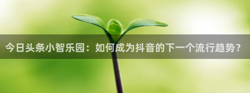 鼎点娱乐下载：今日头条小智乐园：如何成为抖音的下一个流行趋势