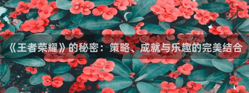 鼎点娱乐4招商：《王者荣耀》的秘密：策略、成就与乐趣的完美结