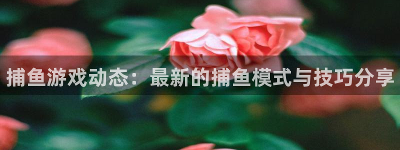鼎点娱乐咨询