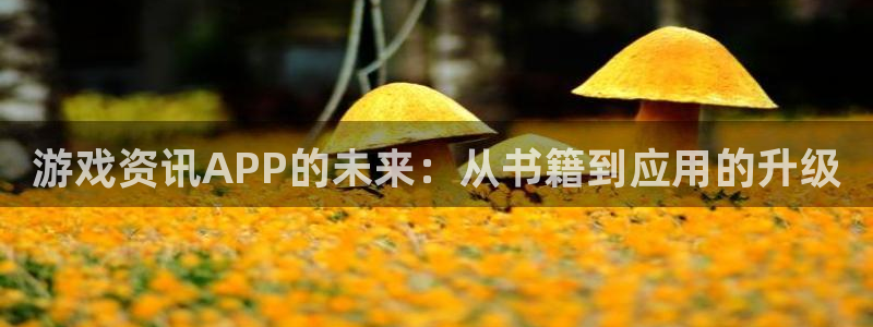 鼎点娱乐怎么注册：游戏资讯APP的未来：从书籍到应用的升级