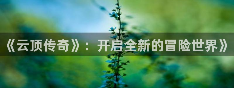 鼎点娱乐：《云顶传奇》：开启全新的冒险世界》