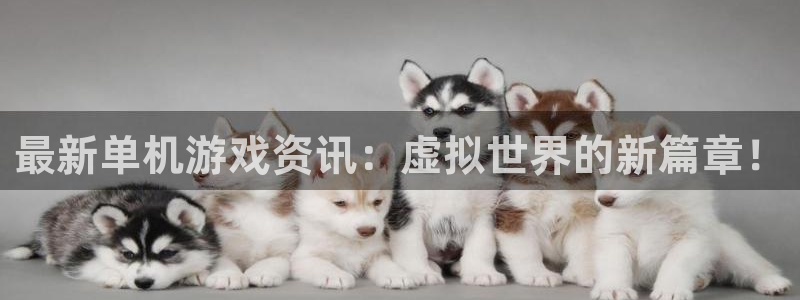 鼎点娱乐的意思：最新单机游戏资讯：虚拟世界的新篇章！