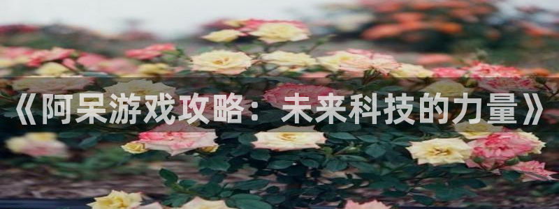 鼎点娱乐4开户：《阿呆游戏攻略：未来科技的力量》