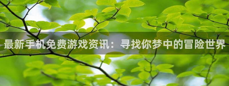 鼎点娱乐4主管：最新手机免费游戏资讯：寻找你梦中的冒险世界