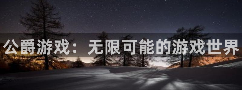 鼎点娱乐网页登录入口下载：公爵游戏：无限可能的游戏世界