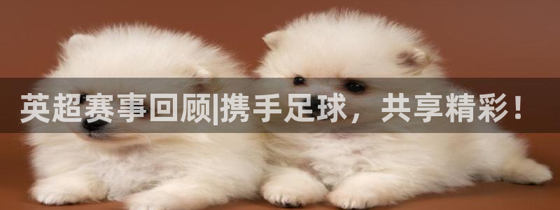 袋鼠体育直播在线观看免费