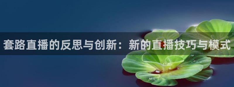 袋鼠直播体育nba直播：套路直播的反思与创新：新的直播技巧与模式
