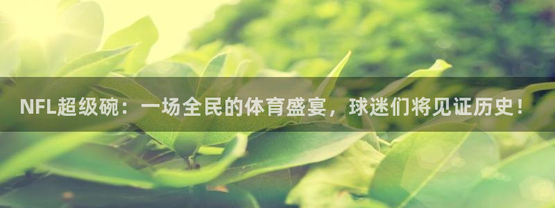 袋鼠直播nba：NFL超级碗：一场全民的体育盛宴，球迷们将见证历史！