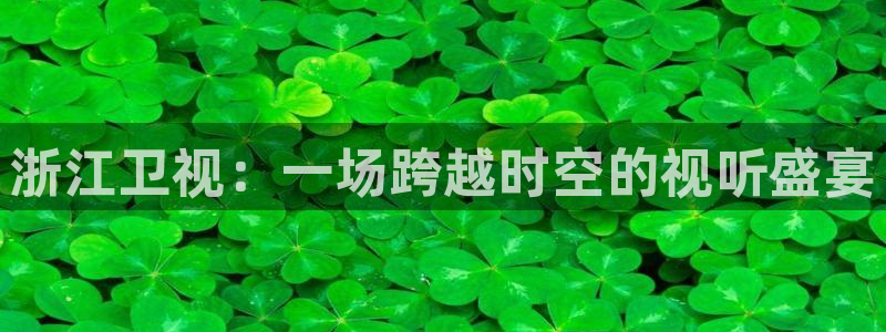 袋鼠体育免费直播观看：浙江卫视：一场跨越时空的视听盛宴