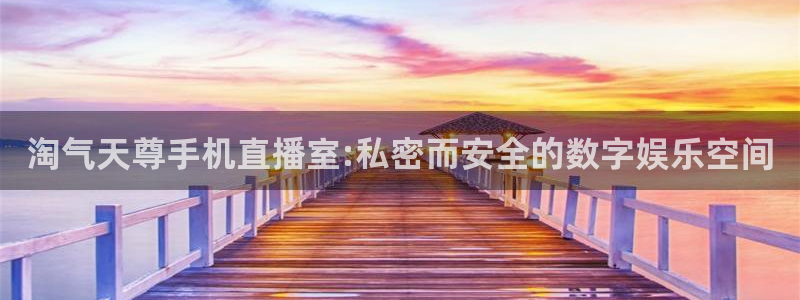 袋鼠直播在线观看：淘气天尊手机直播室:私密而安全的数字娱乐空间