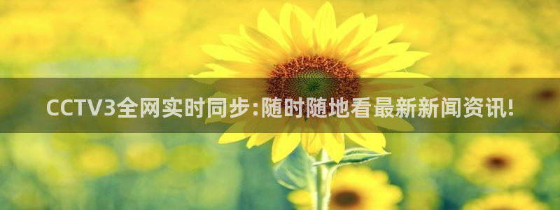 袋鼠体育直播app：CCTV3全网实时同步:随时随地看最新新闻资讯!