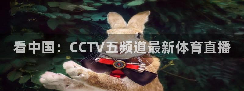 袋鼠nba直播：看中国：CCTV五频道最新体育直播