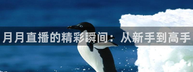 袋鼠直播看球：月月直播的精彩瞬间：从新手到高手