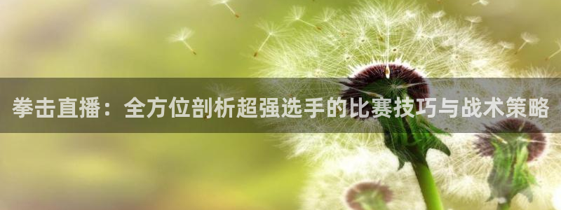 袋鼠直播在线观看：拳击直播：全方位剖析超强选手的比赛技巧与战术策略