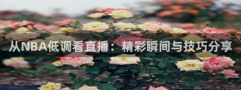 袋鼠直播篮球：从NBA低调看直播：精彩瞬间与技巧分享