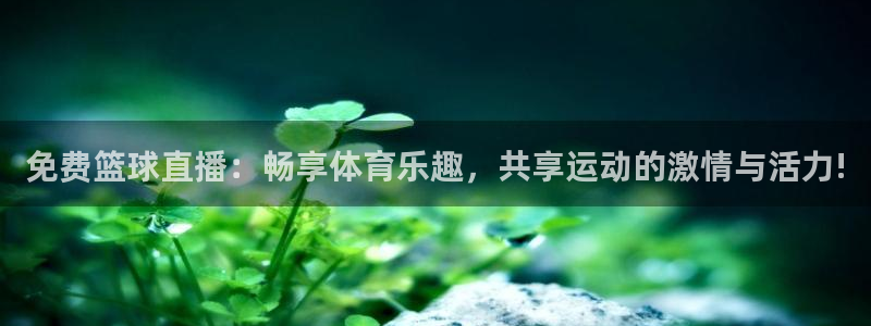 袋鼠在线直播体育：免费篮球直播：畅享体育乐趣，共享运动的激情与活力!